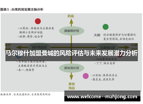 马尔穆什加盟曼城的风险评估与未来发展潜力分析
