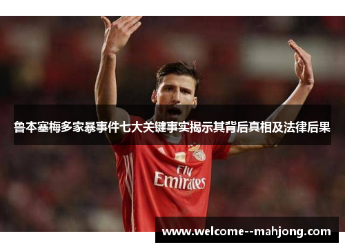 鲁本塞梅多家暴事件七大关键事实揭示其背后真相及法律后果